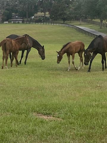 9549 NW 80TH AVENUE, Ocala, FL 34482