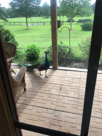 9549 NW 80TH AVENUE, Ocala, FL 34482