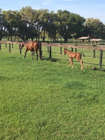 9549 NW 80TH AVENUE, Ocala, FL 34482