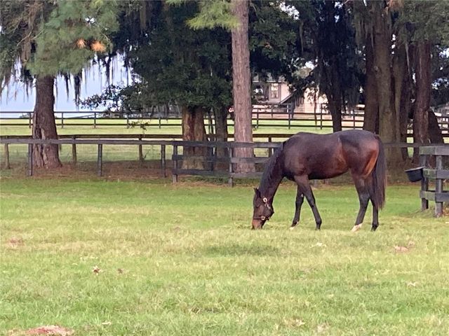 9549 NW 80TH AVENUE, Ocala, FL 34482