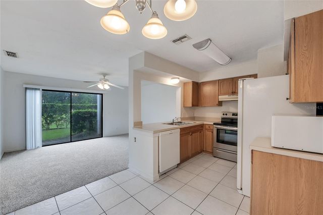 16547 LAKE BRIGADOON CIRCLE, Tampa, FL 33618