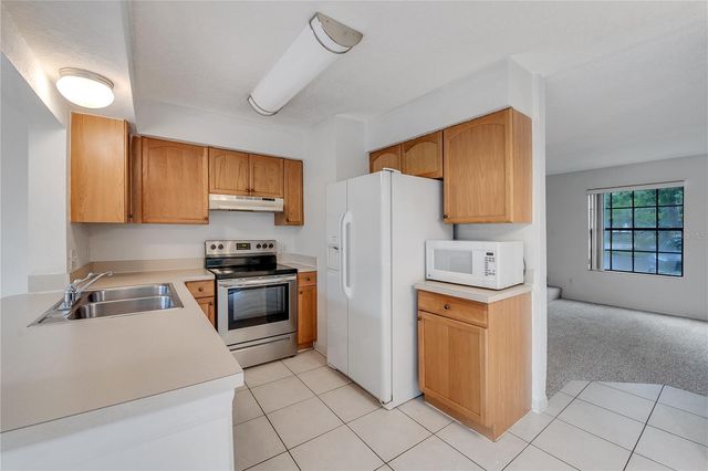16547 LAKE BRIGADOON CIRCLE, Tampa, FL 33618