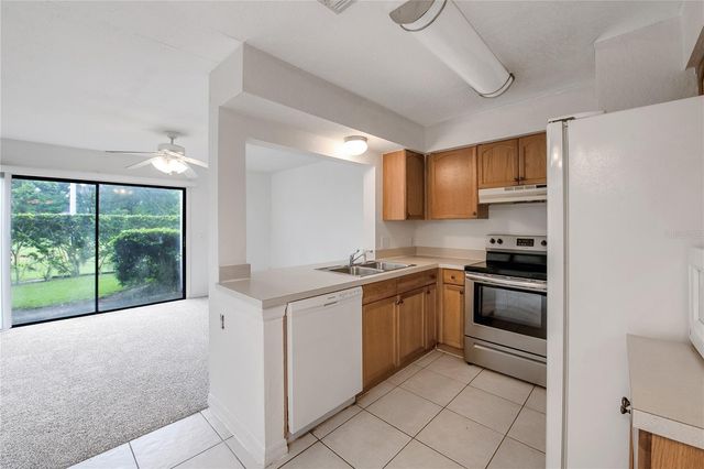 16547 LAKE BRIGADOON CIRCLE, Tampa, FL 33618