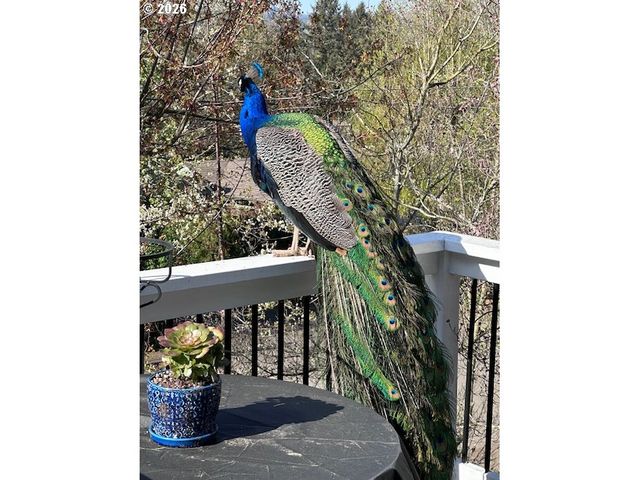 4819 Se REX Dr, Portland, OR 97206