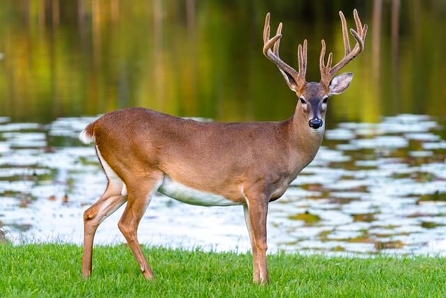 Lot 9 Blk3 Horseshoe Circle, Miramar Beach, FL 32550