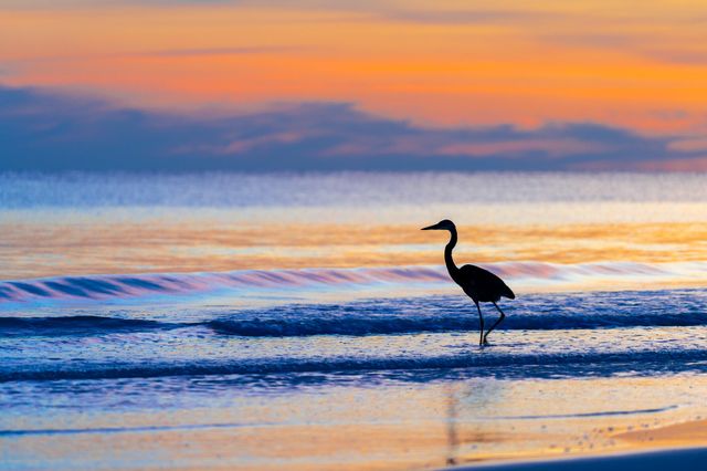 Lot 9 Blk3 Horseshoe Circle, Miramar Beach, FL 32550