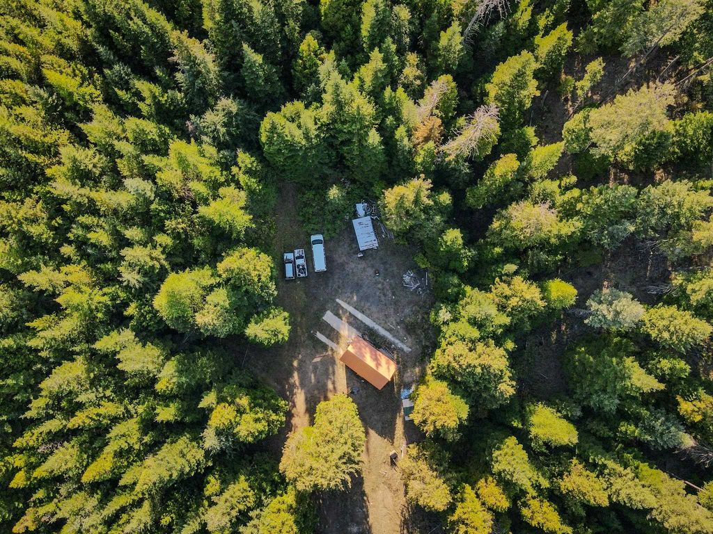 xxxxx N Dunn Rd, Chattaroy, WA 99003 photo 4