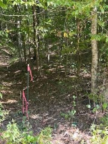 6166 Chestnut Valley Road, Vonore, TN 37885