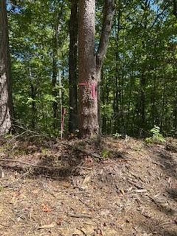 6166 Chestnut Valley Road, Vonore, TN 37885