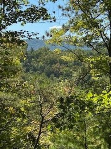 6166 Chestnut Valley Road, Vonore, TN 37885