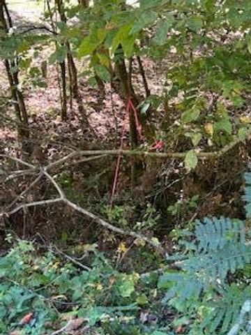 6166 Chestnut Valley Road, Vonore, TN 37885