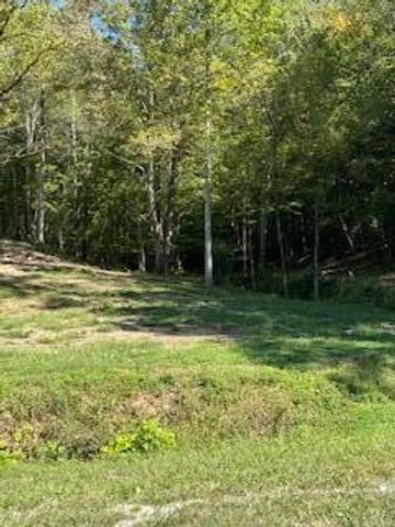 6166 Chestnut Valley Road, Vonore, TN 37885