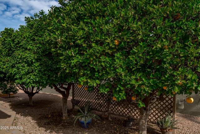 9130 E CRYSTAL Drive, Sun Lakes, AZ 85248