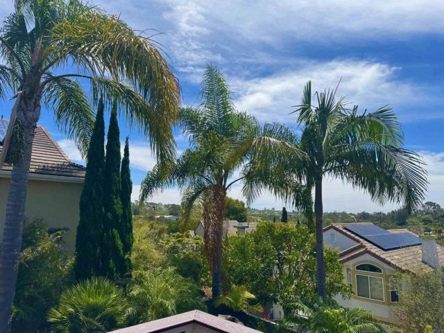 1157 Alexandra Lane, Encinitas, CA 92024