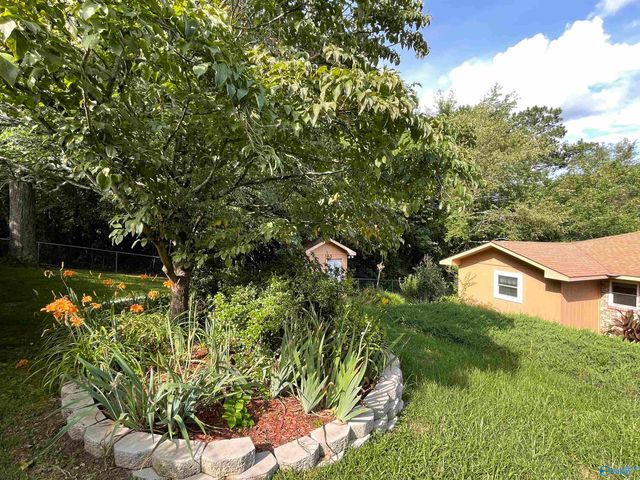 3918 Plains Avenue, Fort Payne, AL 35967