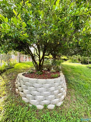 3918 Plains Avenue, Fort Payne, AL 35967