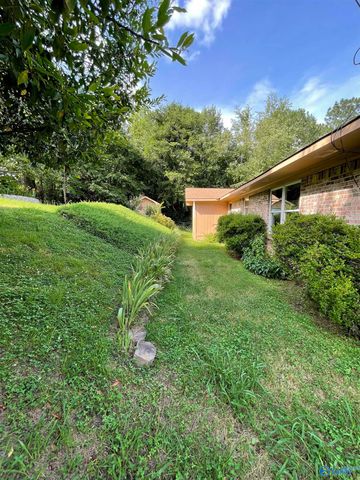 3918 Plains Avenue, Fort Payne, AL 35967