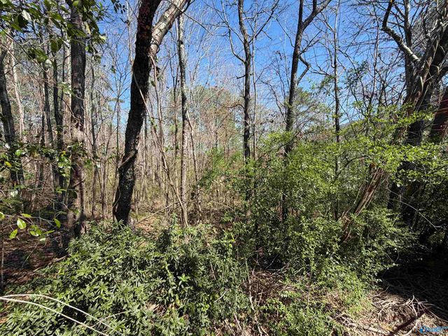 3918 Plains Avenue, Fort Payne, AL 35967