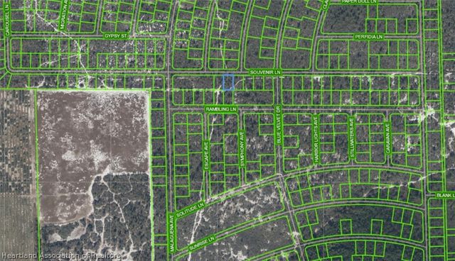 437 Souvenir Lane, Lake Placid, FL 33852