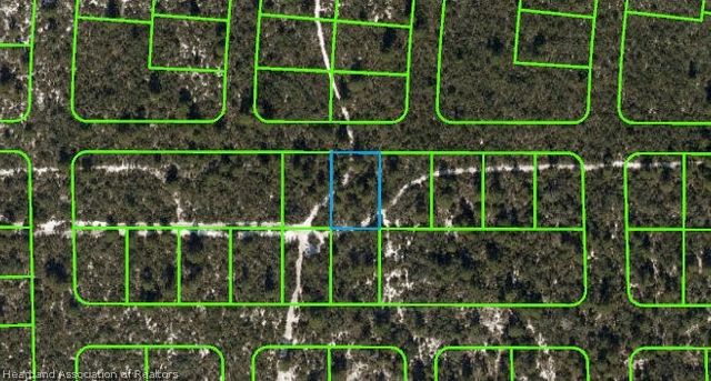 437 Souvenir Lane, Lake Placid, FL 33852