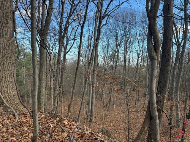 16 Morningcrest Drive, West Hartford, CT 06117