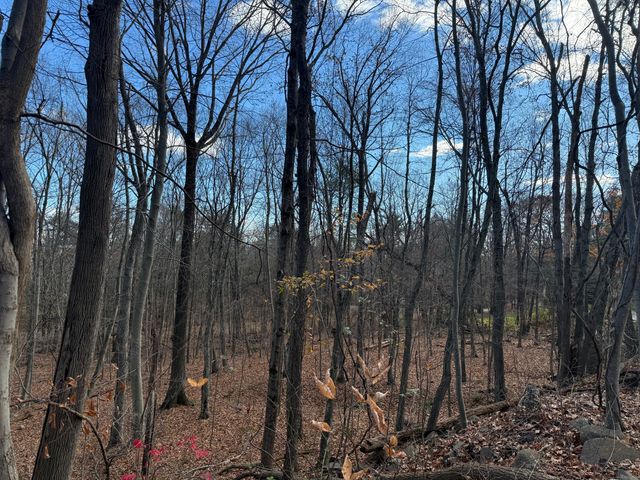 16 Morningcrest Drive, West Hartford, CT 06117