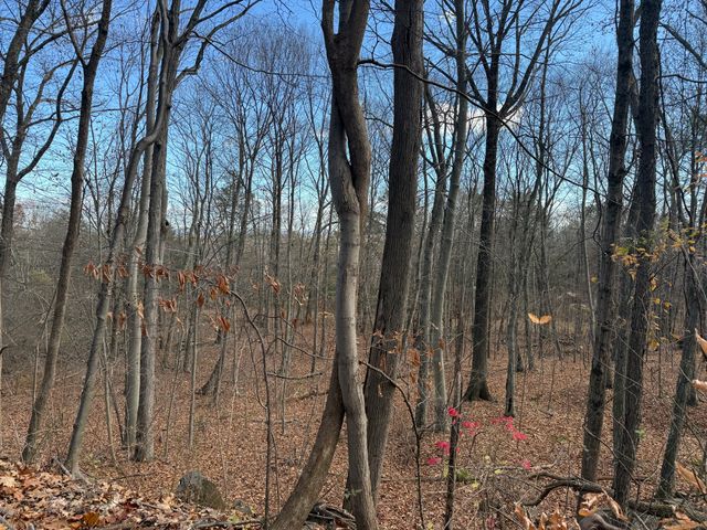 16 Morningcrest Drive, West Hartford, CT 06117