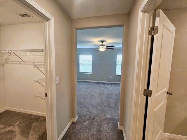 13251 DUPREE HILLS PLACE, Riverview, FL 33579