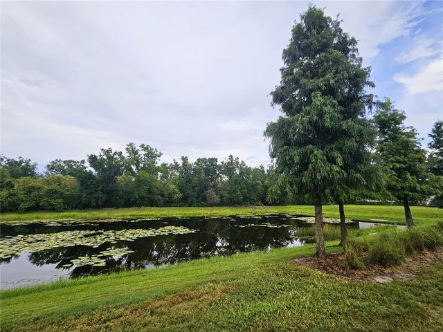 13251 DUPREE HILLS PLACE, Riverview, FL 33579