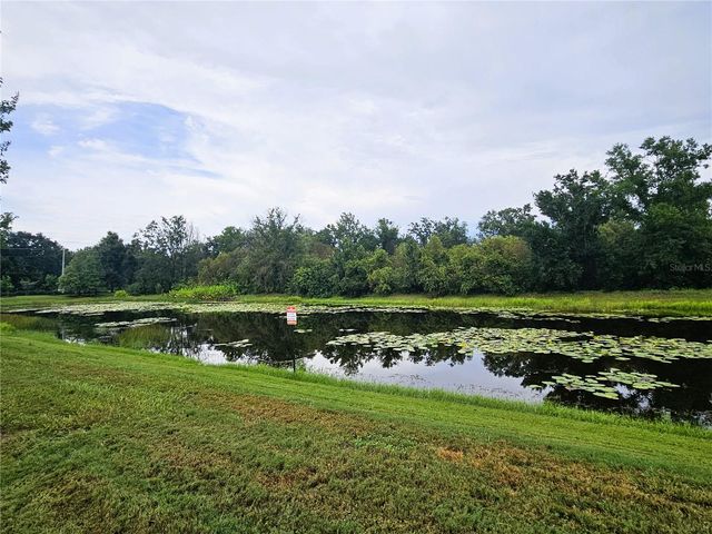 13251 DUPREE HILLS PLACE, Riverview, FL 33579