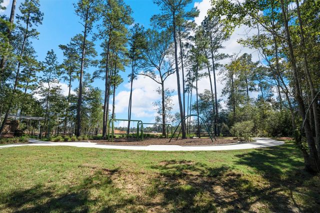 39232 Water Rail Court, Magnolia, TX 77354