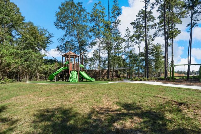 39232 Water Rail Court, Magnolia, TX 77354