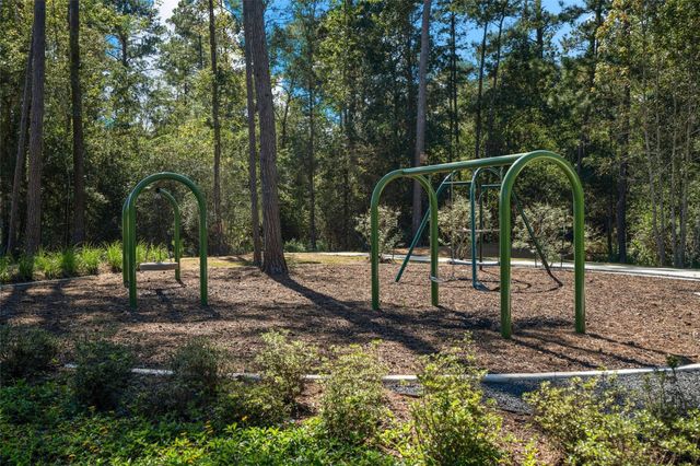 39232 Water Rail Court, Magnolia, TX 77354