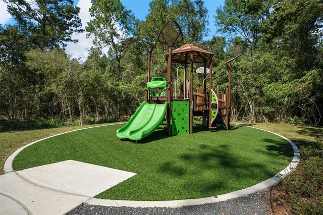 39232 Water Rail Court, Magnolia, TX 77354