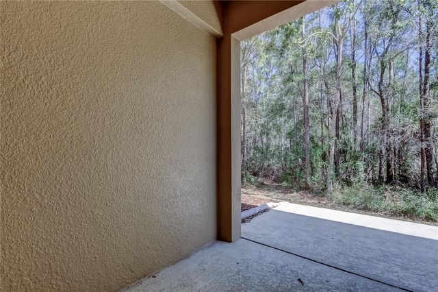 12660 SILVERDALE STREET, Tampa, FL 33626