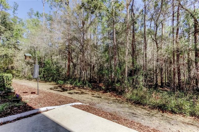 12660 SILVERDALE STREET, Tampa, FL 33626