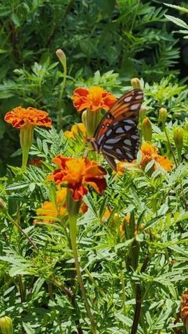 5604 NW 37th Street, Oklahoma City, OK 73122