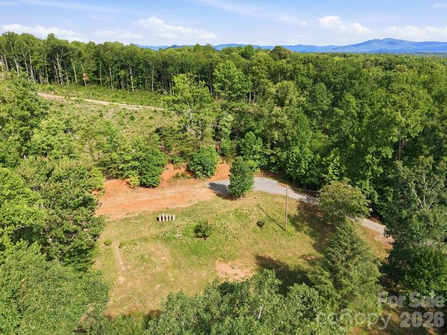 187 Wheeler Drive, Nebo, NC 28761