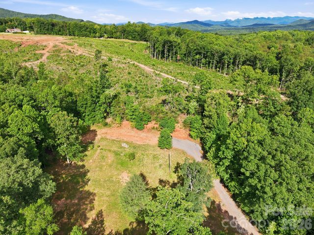 187 Wheeler Drive, Nebo, NC 28761