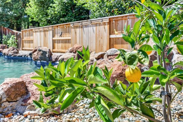 7917 Wildridge, Fair Oaks, CA 95628
