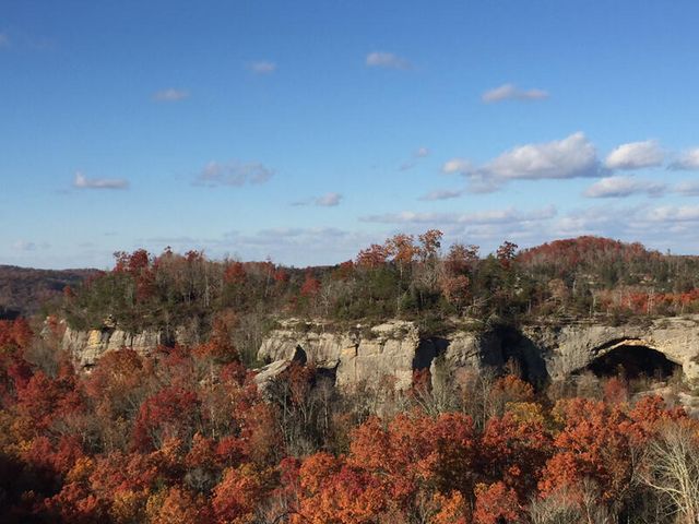 341 Godsey Avenue, Whitley City, KY 42653