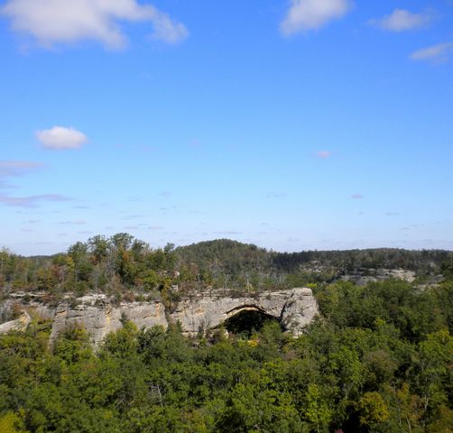 341 Godsey Avenue, Whitley City, KY 42653