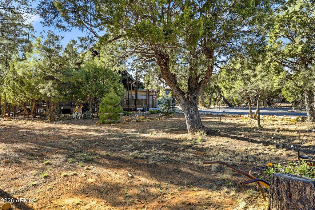 Image 41 of property listing at 3408 PONDEROSA Loop, Heber, AZ 85928
