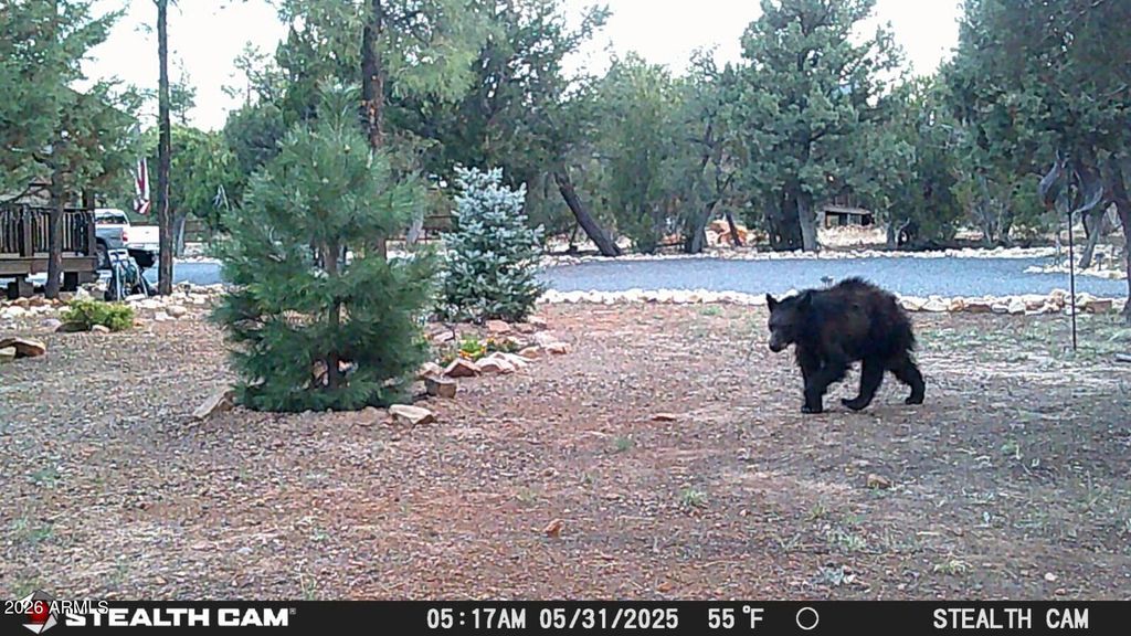 Image 54 of property listing at 3408 PONDEROSA Loop, Heber, AZ 85928