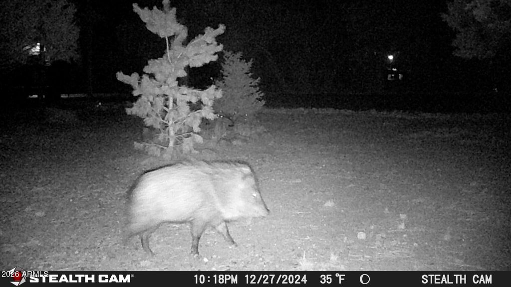 Image 55 of property listing at 3408 PONDEROSA Loop, Heber, AZ 85928