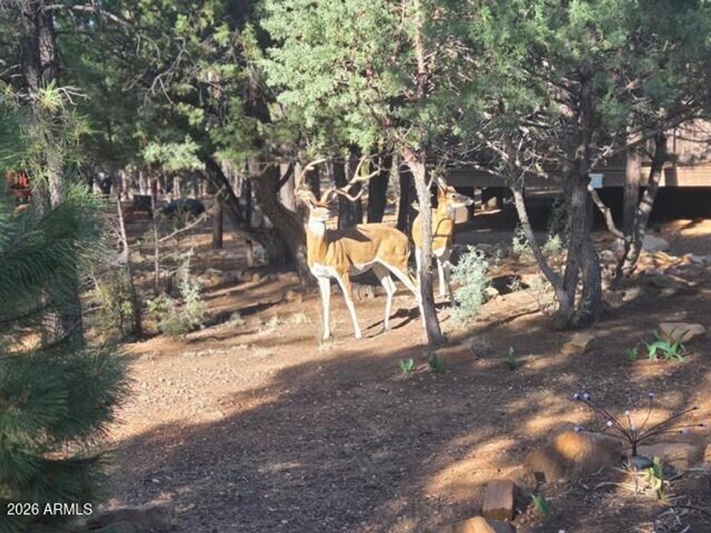 Image 56 of property listing at 3408 PONDEROSA Loop, Heber, AZ 85928