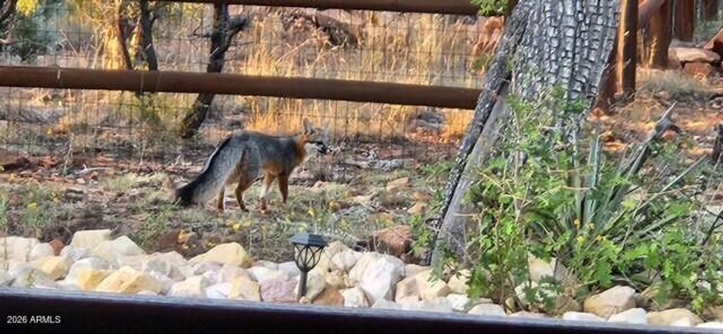 Image 57 of property listing at 3408 PONDEROSA Loop, Heber, AZ 85928