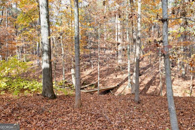 3585 Hidden Lake Drive, Cumming, GA 30041