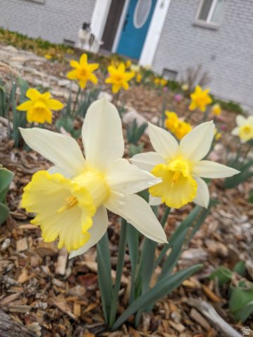 278 HOBBS ST, Moab, UT 84532