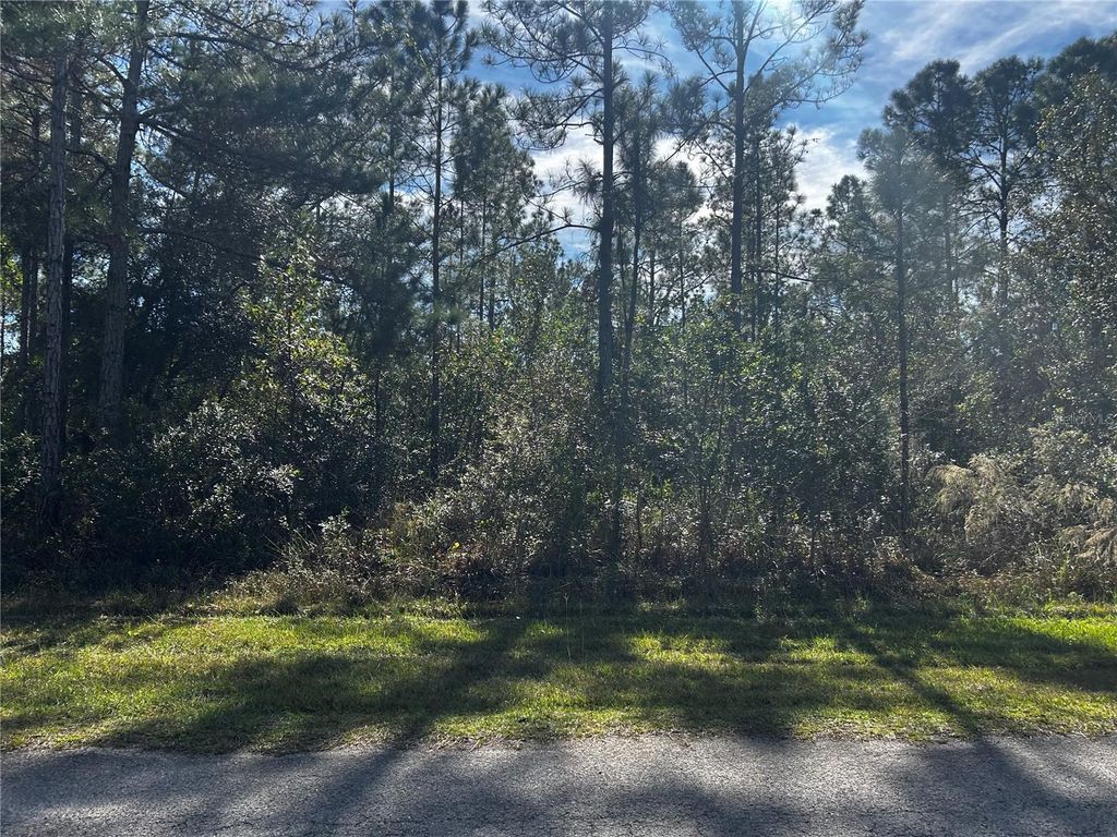 207 GARDENIA DRIVE, Lake Wales, FL 33855